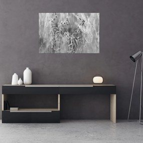 Obraz - Divoká lúka (90x60 cm)