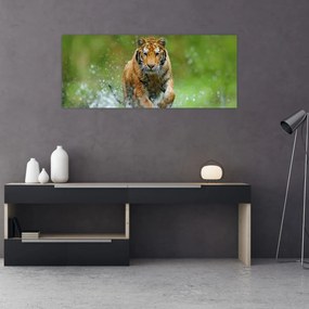 Obraz - Bežiaci tiger (120x50 cm)