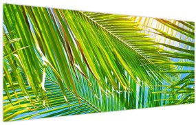Obraz - Palmové listy (120x50 cm)