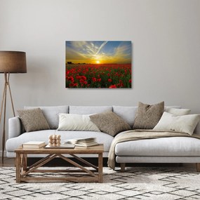 braz poľa vlčích makov (70x50 cm)