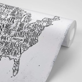 Samolepiaca tapeta šedá mapa USA s jednotlivými štátmi - 375x250
