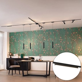 Koľajnicový systém s 10 čiernymi svetlami 1-fázový - Magnetic Samson Cassie Marra