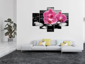 Obraz - Ružové orchidey (150x105 cm)