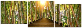 Obraz na plátne - Drevená promenáda v bambusovom lese - panoráma 5172E (90x30 cm)