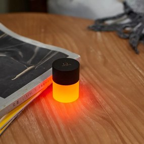 Čierna svetelná dekorácia na USB ø 4,5 cm Lemelia – Gingko