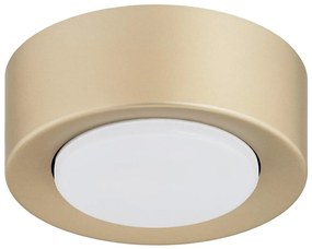 Argon 8903 - Stropné svietidlo ELORA 1xGX53/7W/230V, priemer 11 cm, zlaté