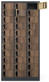Kovová skriňa do dielne OLIVER, 900 x 1850 x 450 mm, Eco Design: antracit/orech