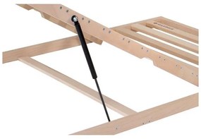 Ahorn  MAXIMUS P PEVNÝ LATOVÝ ROŠT