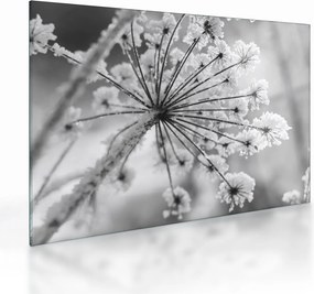 Sklenený obraz - Kvetina v zime (70x50 cm)
