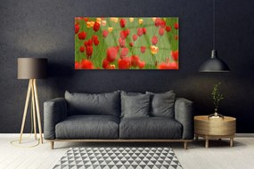Obraz na akrylátovom skle Tulipány rastlina 120x60 cm