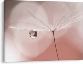 Obraz - Kvapka rosy (70x50 cm)