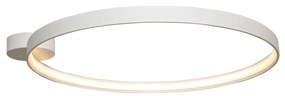 Moderná LED stropná lampa Circle 55 biele
