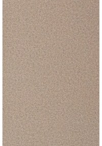 Béžové jedálenské stoličky v súprave 2 ks Alba - Zuiver