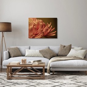 Sklenený obraz detailu kvety (70x50 cm)
