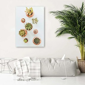 Gario Obraz na plátne Rastliny v kvetináčoch Rozmery: 40 x 60 cm