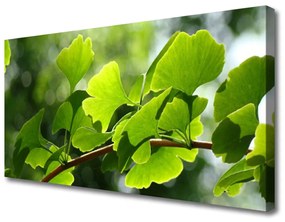Obraz Canvas Vetvy listy príroda strom 120x60 cm