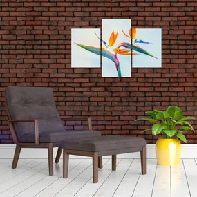 Obraz kvetu Strelícia (90x60 cm)