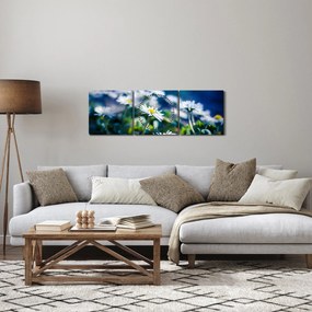Obraz sedmokrások (s hodinami) (90x30 cm)
