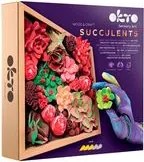 OKTO modelovacia sada sukulentov 21 x 21 cm TÚŽBA