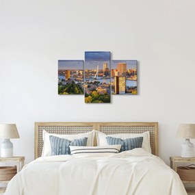 Obraz - Panorama Rotterdamu, Holandsko (90x60 cm)