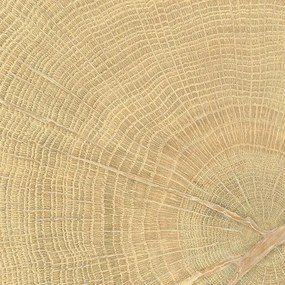 Dlažba Emil W-Circles oak 10x10 cm mat 00ENJD68