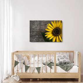 Obraz - Kvet slnečnice (90x60 cm)