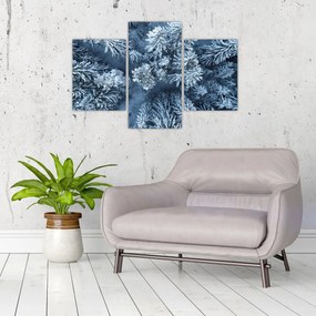 Obraz - Zasnežený les (90x60 cm)