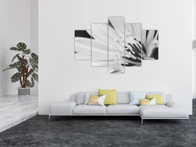 Obraz - Čiernobiely kvet (150x105 cm)