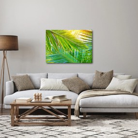 Obraz - Palmové listy (70x50 cm)
