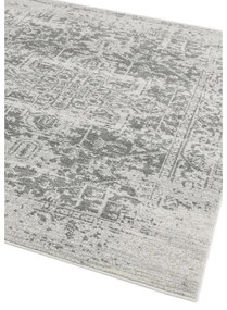 Sivý koberec 120x170 cm Nova – Asiatic Carpets
