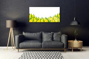 Obraz plexi Kvety príroda tulipány 100x50 cm