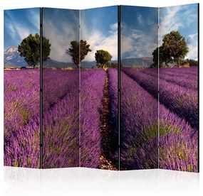 Paraván - Lavender field in Provence, France II [Room Dividers]
