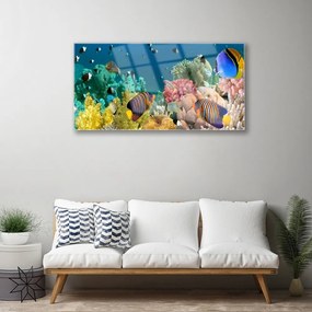 Obraz na skle Koralový útes príroda 140x70 cm