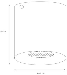 Lucide 09100/01/30 - Bodové svietidlo BODI 1xGU10/50W/230V