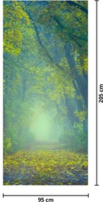 Fototapeta na dvere - Cesta lemovaná stromami (95x205cm)