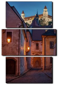 Obraz na plátne - Bratislava staré mesto s hradom vzadu - obdĺžnik 7265C (105x70 cm)
