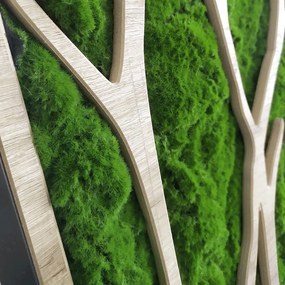 Nástenná dekorácia 50x100 cm Tree – Styler