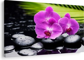 Obraz - Orchidey (90x60 cm)