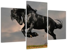 Čierny kôň, obraz