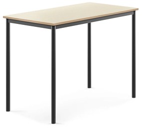 Stôl SONITUS, 1200x700x900 mm, HPL - breza, antracit