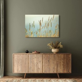 Obraz - Lúčny okamih (90x60 cm)