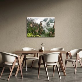Obraz - National Park Zhangjiajie, Čína (70x50 cm)