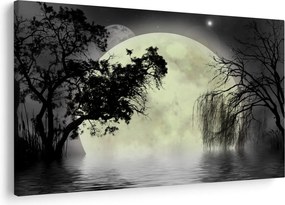 Obraz - Spln nad hladinou, čiernobiely variant (90x60 cm)