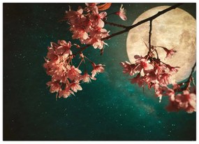 Obraz - Sakura v splne (70x50 cm)
