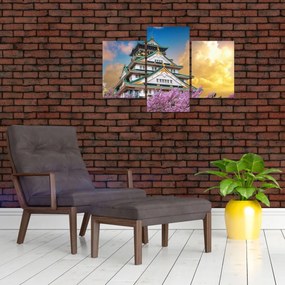 Obraz - Osacký hrad (90x60 cm)