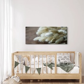 Obraz - Zajačí chvostík (120x50 cm)
