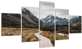 Obraz - Chodník v údolí hory Mt. Cook (125x70 cm), 40 ďalších rozmerov
