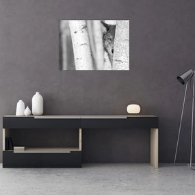 Obraz - Vlk v lese (70x50 cm)