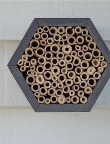 Včelí dom hive MUZZA