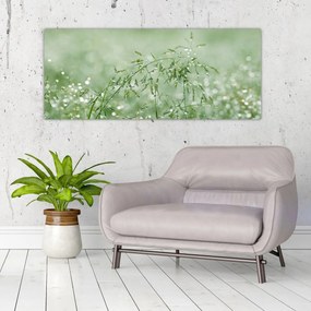 Obraz - Ranná rosa na steblach trávy (120x50 cm)
